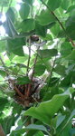 20080726140031.jpg