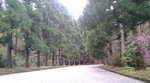 20100414112809.jpg