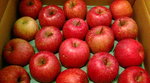 20081206142510.jpg